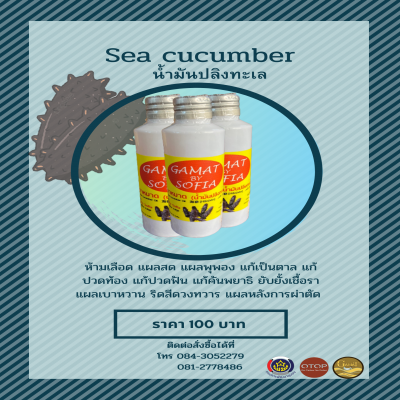 Sea cucumber (น้ำมันปลิงทะเล) - OTOPTODAY : ศูนย์รวมสินค้า OTOP ที่ใหญ่ ...